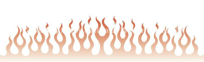 Window Graphic - 16x54 Flame Job 5