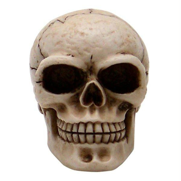 American Shifter Sammy Skull Custom Shift Knob and Topper