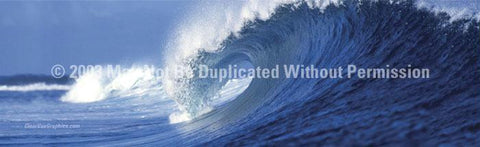 Window Graphic - 20x65 Wave 3