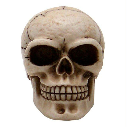 American Shifter Sammy Skull Custom Shift Knob and Topper